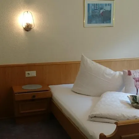 Apartamento Haus Bergfreund