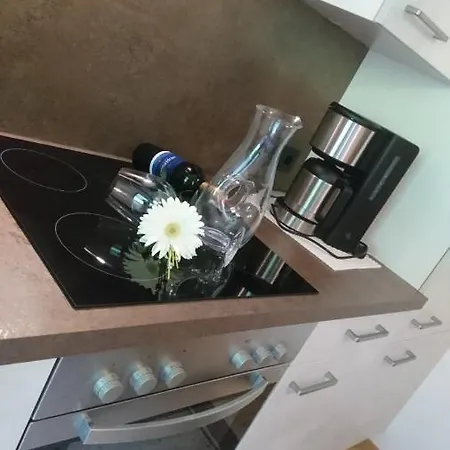 Haus Bergfreund Apartamento *