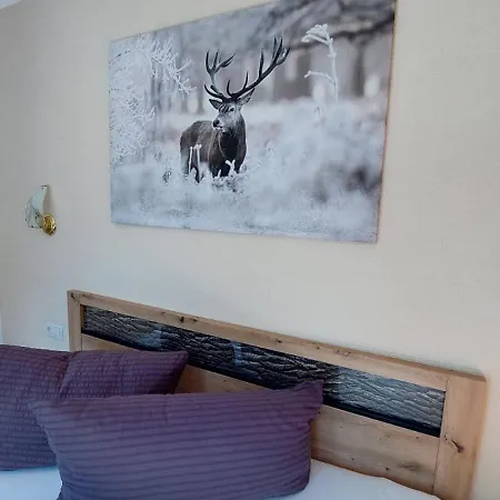 Apartamento Haus Bergfreund *