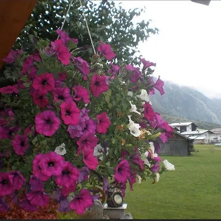 Apartamento Haus Bergfreund *