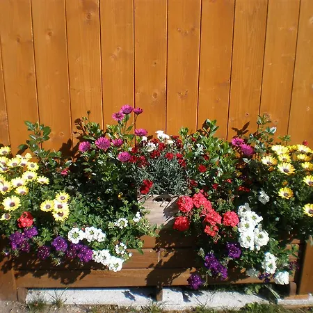 Apartamento Haus Bergfreund Sankt Leonhard im Pitztal