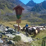 Lägenhet Haus Bergfreund *