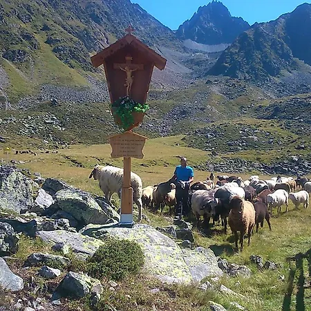 アパート Haus Bergfreund *