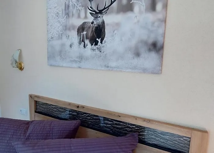 Apartmán Haus Bergfreund *