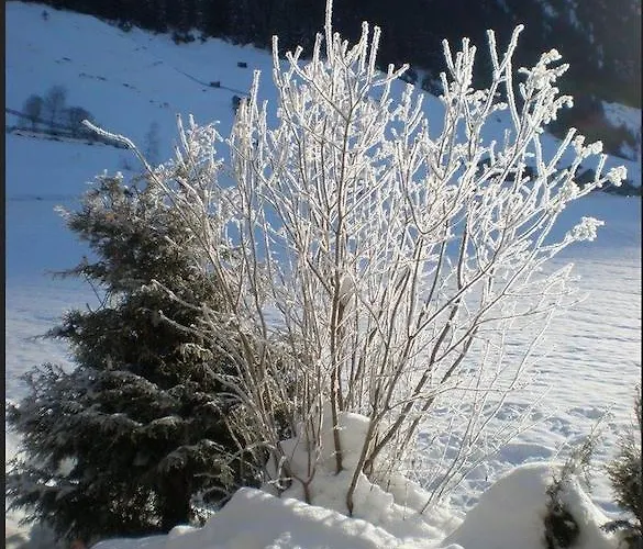 Haus Bergfreund Sankt Leonhard im Pitztal