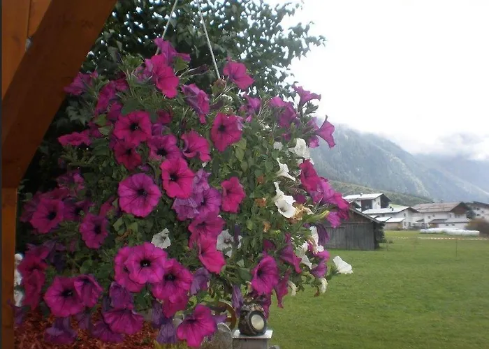 Apartmán Haus Bergfreund *