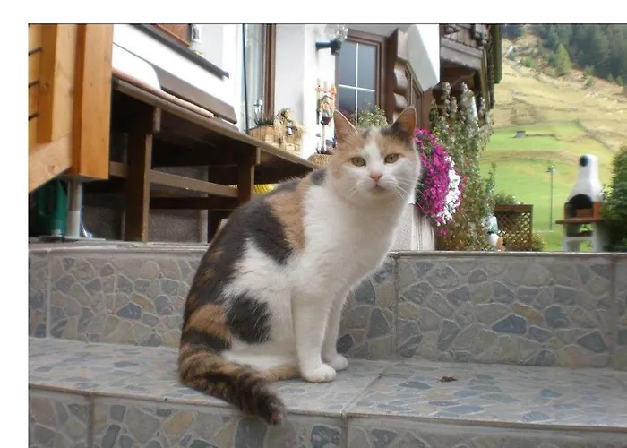 Apartmán Haus Bergfreund